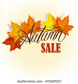 Beautiful hand drawn autumn foliage vector sale label, banner template. Lettering design. Fall leaf. Vector illustration EPS10