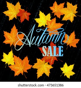 Beautiful hand drawn autumn foliage vector sale label, banner template. Lettering design. Fall leaf. Vector illustration EPS10