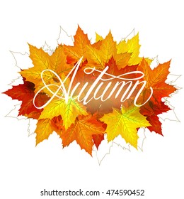 Beautiful hand drawn autumn foliage vector sale label, banner template. Lettering design. Fall leaf. Vector illustration EPS10