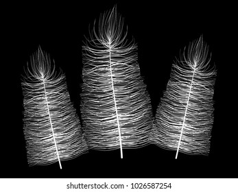 Beautiful Hand Drawn Beard Feather Isolated. White Fluff. Feathers for Wallpaper, Illustration, Carnival, Masquerade, Invitation, Paper, Textile. Decoration Element for Your Design.