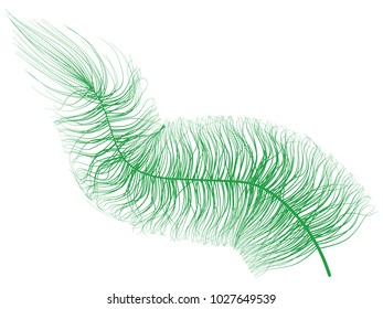 Beautiful Hand Drawn Beard Feather Isolated. Fluff. Feather for Wallpaper, Illustration, Carnival, Masquerade, Invitation, Paper, Textile. Decoration Element for Your Design.