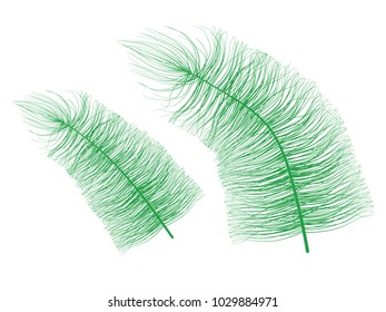 Beautiful Hand Drawn Beard Feather Isolated. Fluff. Feather for Wallpaper, Illustration, Carnival, Masquerade, Invitation, Paper, Textile. Decoration Element for Your Design.