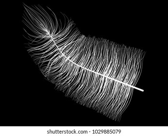 Beautiful Hand Drawn Beard Feather Isolated. White Fluff. Feathers for Wallpaper, Illustration, Carnival, Masquerade, Invitation, Paper, Textile. Decoration Element for Your Design.