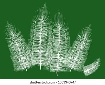 Beautiful Hand Drawn Beard Feather Isolated. White Fluff. Feather for Wallpaper, Illustration, Carnival, Masquerade, Invitation, Paper, Textile. Decoration Element for Your Design.