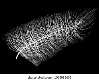 Beautiful Hand Drawn Beard Feather Isolated. White Fluff. Feathers for Wallpaper, Illustration, Carnival, Masquerade, Invitation, Paper, Textile. Decoration Element for Your Design.