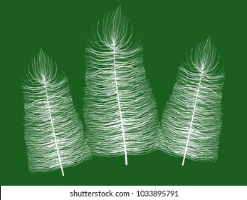 Beautiful Hand Drawn Beard Feather Isolated. White Fluff. Feather for Wallpaper, Illustration, Carnival, Masquerade, Invitation, Paper, Textile. Decoration Element for Your Design.