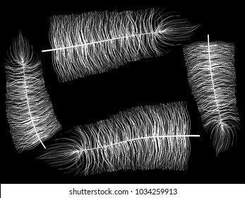 Beautiful Hand Drawn Beard Feather Isolated. White Fluff. Feathers for Wallpaper, Illustration, Carnival, Masquerade, Invitation, Paper, Textile. Decoration Element for Your Design.
