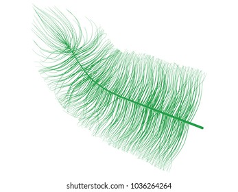 Beautiful Hand Drawn Beard Feather Isolated. Fluff. Feather for Wallpaper, Illustration, Carnival, Masquerade, Invitation, Paper, Textile. Decoration Element for Your Design.