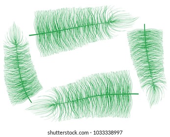 Beautiful Hand Drawn Beard Green Feathers Isolated. Fluff. Feather for Wallpaper, Illustration, Carnival, Masquerade, Invitation, Paper, Textile. Decoration Element for Your Design.