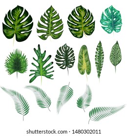 Beautiful hand drawn botanical illustration with tropical leaves