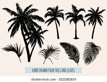 Beautiful hand drawn botanical vector illustration with palm trees, tropical leaves. Isolated on white background.