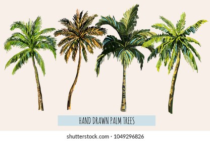 Beautiful hand drawn botanical vector illustration with palm trees. Isolated on white background.