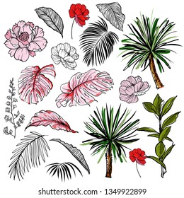 Beautiful hand drawn botanical vector illustration with tropical leaves and flowers. Isolated on white background.