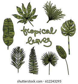 Beautiful hand drawn botanical vector illustration with tropical leaves. Isolated on white background.