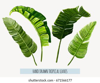 Beautiful hand drawn botanical vector illustration with tropical leaves. Isolated on white background.