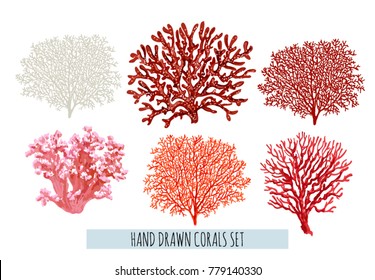 Beautiful hand drawn botanical vector illustration with tropical corals. Isolated on white background.