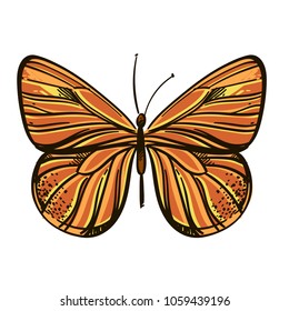 Beautiful hand drawn butterfly. Vector illustration isolated on white background for tattoos, printing on T-shirts and other items.