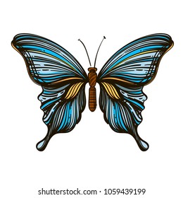 Beautiful hand drawn butterfly. Vector illustration isolated on white background for tattoos, printing on T-shirts and other items.