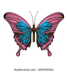 Beautiful hand drawn butterfly. Vector illustration isolated on white background for tattoos, printing on T-shirts and other items.