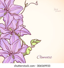 Beautiful hand drawn clematis