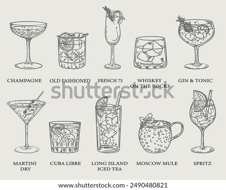 Beautiful hand drawn collection of drinks and cocktails - vector illustration