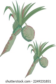 Beautiful hand drawn colour full floral motif.