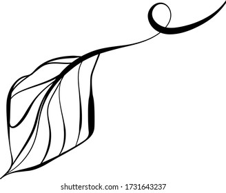 Beautiful hand drawn continuous line autumn leaf design