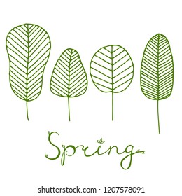 Beautiful hand drawn cute postcard with 4 green skeleton leaves and lettering word "Spring" isolated on white background. Greenery doddles.  Botanical banner template with plants. 
