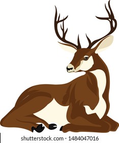 Beautiful hand drawn Deer on white background