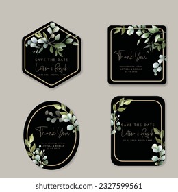 beautiful hand drawn eucalyptus leaves label collection