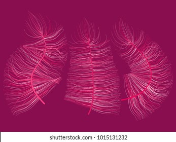 Beautiful Hand Drawn Feathers. Colorful Feathers Isolated. Fluff. Wallpaper, Illustration, Carnival, Masquerade, Invitation, Textile. Decoration Element for Your Design.