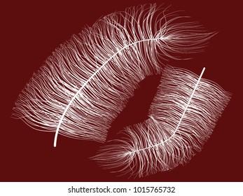 Beautiful Hand Drawn Feathers. Feathers Isolated. Fluff for Wallpaper, Illustration, Carnival, Masquerade, Invitation, Paper, Textile. Decoration Element for Your Design. White Feathers. Fluffy