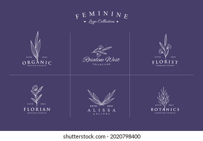 Beautiful hand drawn feminine logo for branding collection set