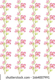 Beautiful hand drawn floral borders