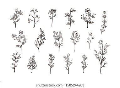 Beautiful hand drawn floral vector collection