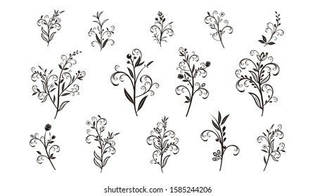 Beautiful Hand Drawn Floral Vector Collection Stock Vector (Royalty ...