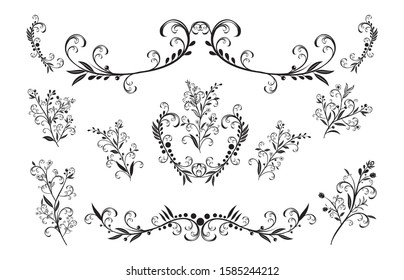 Beautiful hand drawn floral vector collection