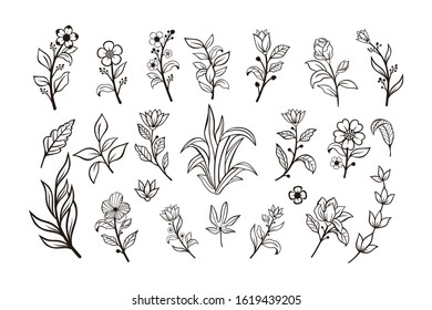 Beautiful hand drawn floral vector collection