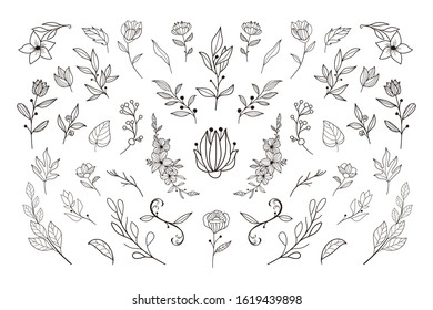 Beautiful hand drawn floral vector collection