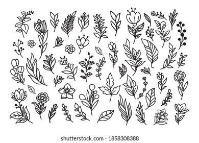Beautiful hand drawn floral vector collection