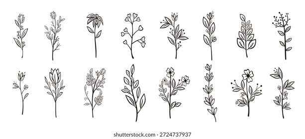 Hermosa colección de Vector floral dibujado a mano