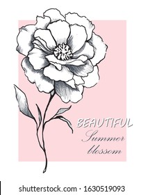 beautiful hand drawn flower blossom vector illustration for girls print t shirt