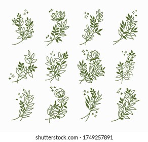 Beautiful hand drawn flower elements collection