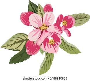 Beautiful hand drawn flowers with leaves on white background
