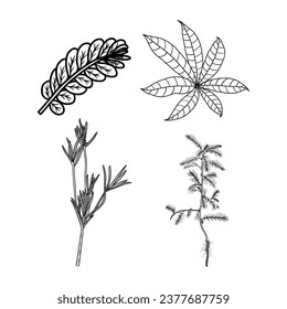 the beautiful hand drawn of flowers and leaves set on white background vector illustration