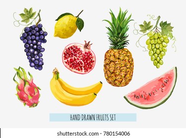 Beautiful hand drawn fruits  banana, dragon fruit, grape, lemon, watermelon,  pineapple, pomegranate. Isolated on white background.