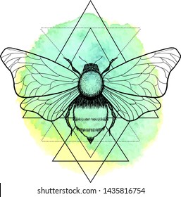 Beautiful hand drawn honey bee queen insect on geometrical sign. Vector.