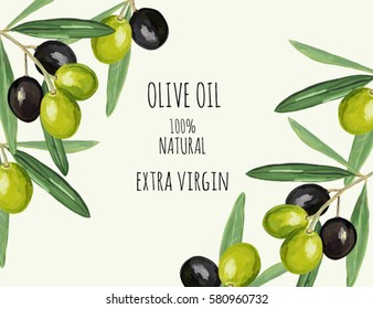 Beautiful hand drawn illustration background with olive branch with ripe black and green olives on white background. Design for olive oil, natural cosmetics, health care products. 