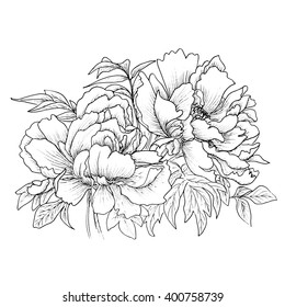 Beautiful hand drawn illustration of peony isolated on white background. Vector. Hand drawn artwork. Love concept for wedding invitations, cards, tickets, congratulations, branding, boutique logo