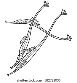 Beautiful hand drawn illustration with pipefish. Vector.